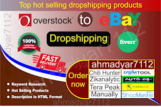 do overstock to ebay dropshipping products