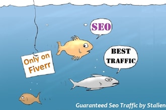 guarantee low bounce rate true keyword targeted traffic