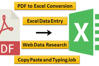 do excel data entry and convert PDF to excel