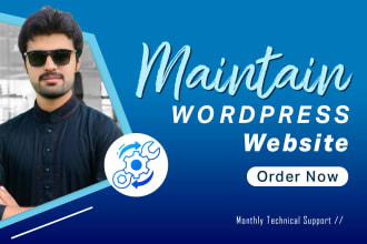 do wordpress website maintenance support  or help