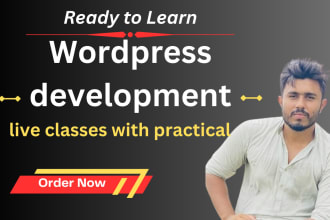 teach you wordpress website development online coding lessons