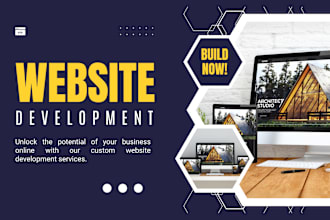 develop custom wordpress website for your online success
