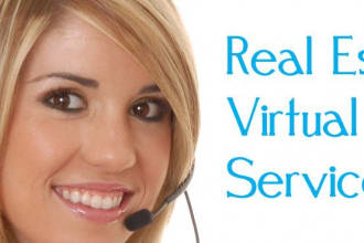 do any kind of work related real estate agent services