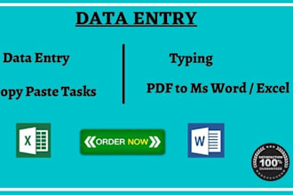 provide manual data entry, typing, and copy paste work