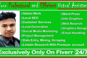 be your virtual assistant for the virtual assistant job