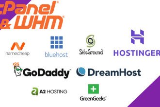 setup or fix bluehost, godaddy, namecheap, cpanel hosting