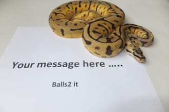 take a picture of any message with one of my snakes