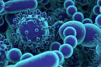 be your biology, microbiology and molecular biology tutor