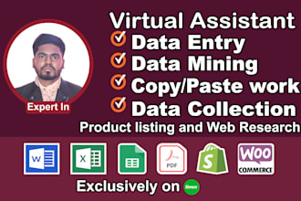 do fastest data entry, copy paste and web research