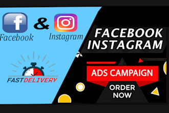 setup and manage facebook and  instagram ads campaign