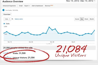 send 500 UNIQUE visitors to your website from different ip and countries