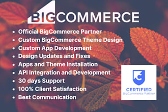 set up bigcommerce, redesign, customization, speed optimization, SEO, migration