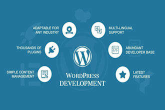 create a professional  wordpress website with design