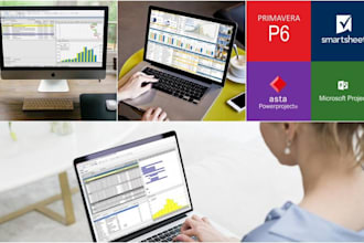 prepare primavera p6 gantt chart 24x7 support fast delivery