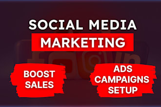 be your facebook ads manager, run tiktok shopify insta fb ads campaign