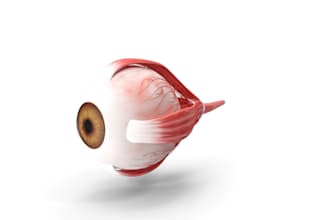 create a 3d eyeball