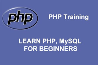 help teach you PHP, wordpress and mysql