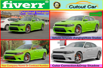 do color correction or color replacement for your any photo