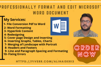 professionally format and edit microsoft word document