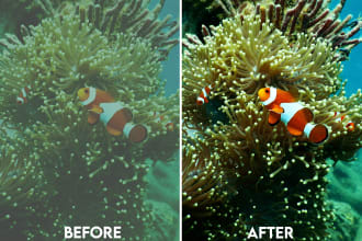 do the color correction and editing of underwater pictures
