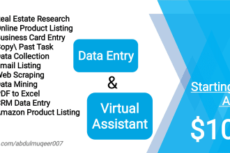 your virtual assistant for data entry, data mining and research