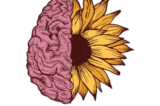 write blogs and articles on mental health and wellbeing