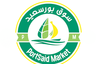logo design and branding