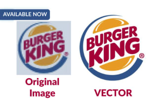 convert any logo to vector high resolution file