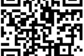 create qr code with a professional look with logo