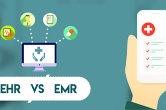 provide my services for fhir integration