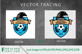 vectorize, resize, fix any image, logo, sketch professionally