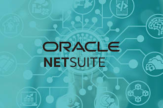 be your certified netsuite suitescript and integration developer