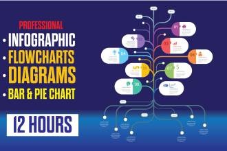 design professional unique infographic within 24 hours