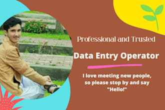 do data entry and copy paste job