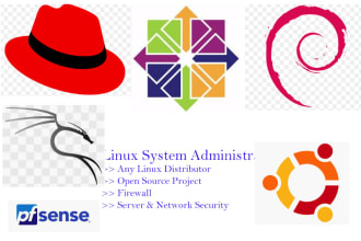 do everything as linux system administrator
