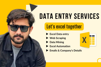 do excel data entry, web scraping, mining, list or find emails address