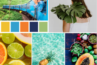 create a color  palette, scheme, mood board for brand identity and anything