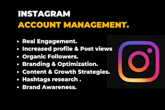 do your instagram growth and management organically