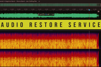 clean, repair, restore and remove noise for your audio files