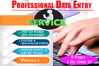 do the data entry jobs fast and accuracy for your needs