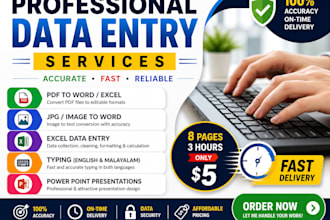 do urgent data entry, PDF to word, excel and typing in 24 hours