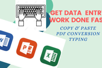 do excel data entry, copy paste, typing, web search