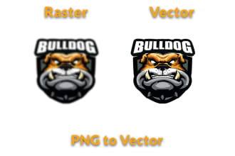 convert your logo or image to vector file