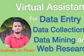 do data entry, data collection and web research