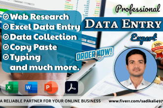 do data entry, web research, copy paste and typing