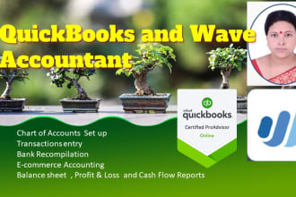 do accounting and bookkeeping, quickbooks online waveapps