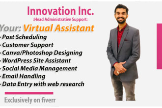 be your virtual personal administrative assistant with data entry