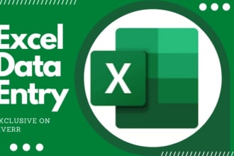 be your excel expert for data entry formatting and cleanup