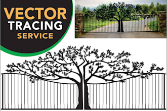 do vector tracing, raster to vector, redraw logo