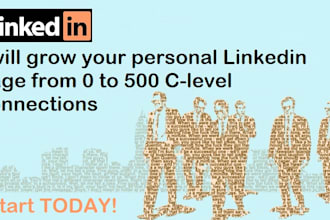 quickly grow your personal linkedin page from 0 to 500 with c level connections